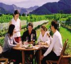 Fahrradrundreise Neuseeland - Wine Trail Magic